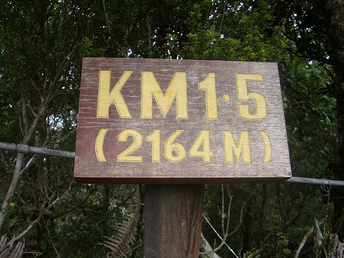 キナバル山登山口から1.5km