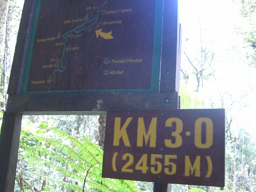 キナバル山登山口から3KM